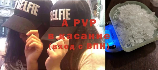 молекула духа Богородск