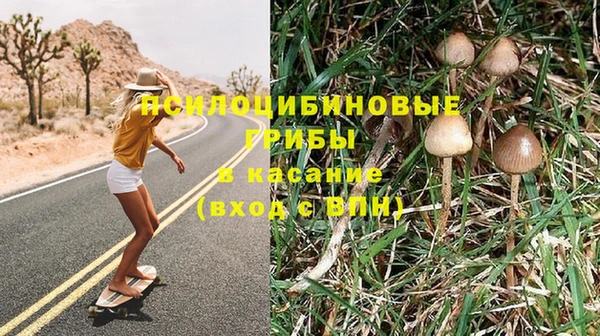 мескалин Белокуриха